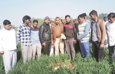 ގިނިހިލައެއް ކަމަށް ހީކުރި އެއްޗަކީ މަތިންދާބޯޓަކުން ވައްޓާލި ނަޖިސްގަނޑެއް