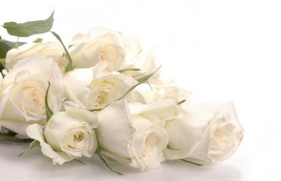 ޖިންސީ ގޯނާތަކާއި ތަފާތު ކުރުންތަކާ ދެކޮޅަށް ގްރެމީ އެވޯޑްސްގައި ހުދު ފިނިފެންމާ ބޭނުން ކުރާނެ