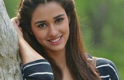 ހުތުރޭ ބުނުމުން ދިޝާ ޕަޓާނީ ރައްދު ދީފި