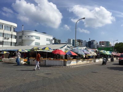 އެމްއެންޑީއެފުން ދަތުރުވެރިންގެ މާރުކޭޓު މަރާމާތު ކުރުމުގެ މަސައްކަތް ފަށައިފި