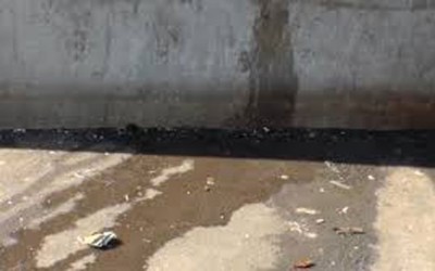 އާގްރާގެ މަގުމައްޗަށް ކުޑަކަމުދިޔަ 130 މީހަކު ހައްޔަރުކޮށް އަދަބުދީފި