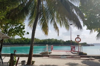 އެކުއިޒިޝަން ފީގެ މުއްދަތު އިތުރުކުރަން 1،000 ޑޮލަރުގެ ފީއެއް ނަގަނީ