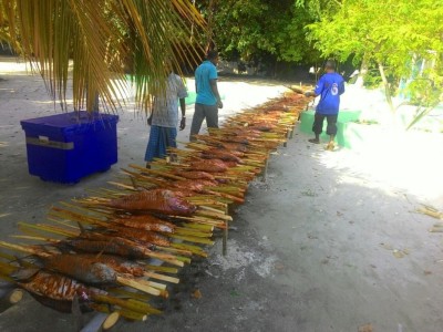 މިނިވަން 50 ފާހަގަކުރުމަށް އުލިގަމުގައި 530 މަސް ފިހެފި