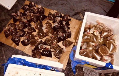 މުޒާހަރާގެ ތެރެއިން ވަނީ ގިނަ އަދަދެއްގެ މިރުސް ފެން ޕެކެޓް ފެނިފައި: ޕޮލިސް