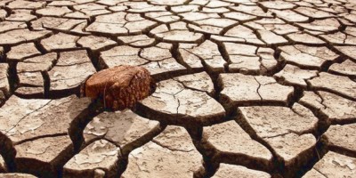 2040 ވަނަ އަހަރާ ހަމައަށް ދާއިރު ކާބޯތަކެތީގެ ބަލިމަޑުކަމެއް ފެތުރޭނެ: ދިރާސާ