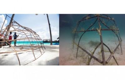 ފަރުތައް ދިރުވައި އާލާކުރުން؛ ކޮންމެ މީހަކަށް ވެސް ކުރެވިދާނެ ކަމެއް!