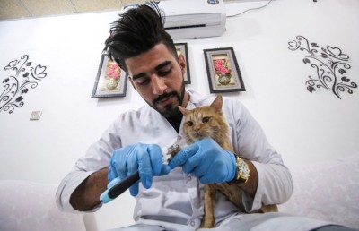 އިރާގުގެ ބަސަރާގައި ބުޅާތަކަށް ހާއްސަ "ހޮޓަލެއް"