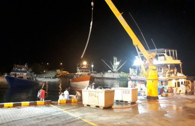 ދެކުނުގައި މަސްވެރިކަން އާދަޔާ ޚިލާފަށް ރަނގަޅު ވެއްޖެ، ރޭ އެކަނި 600 ޓަނުގެ މަސްކިރައިފި