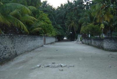ހޯދަމުން ދިޔަ މީހަކު ކުއްޖަކަށް ޖިންސީ ގޯނާ ކުރިކަމުގެ ތުހުމަތުގައި ހައްޔަރުކޮށްފި