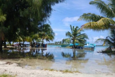 އުދައެރުމުގެ ފުރުސަތު ކުޑަވެއްޖެ: މެޓް