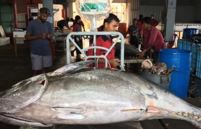 ރާއްޖޭގައި އާދަޔާޚިލާފު ބޮޑު، ކަންނެއްޔެއް ބާނައިފި