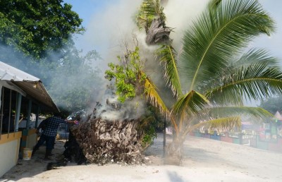 ތާރީހީ ކާނިގަސް އަންދައިލި މައްސަލައިގައި މީހަކު ހައްޔަރެއް ނުކުރޭ