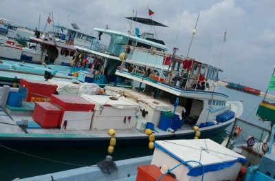 ލޭނު އަޅައިގެން ބޮޑުކަންނެލީގެ މަސްވެރިކަން ކުރަން 15,000 ޓަނުގެ ކޯޓާ ވިއްކަނީ