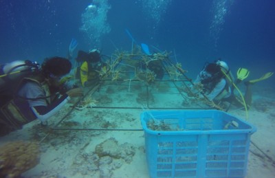 ތޫފާން އޮކްޝީގައި ގެއްލުންވި ޅައިމަގު ފަރުގައި މުރަކަ އިންދައިފި