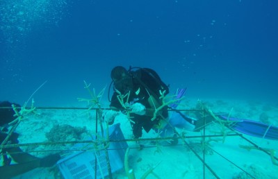 ތޫފާން އޮކްޝީގައި ގެއްލުންވި ޅައިމަގު ފަރުގައި މުރަކަ އިންދައިފި