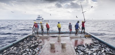 ކަނދުފަތިތަކަށް ގެއްލުން ދޭކަމުގެ ޝަކުވާ އަންނަނީ ލިބެމުން: ފިޝަރީޒް މިނިސްޓްރީ