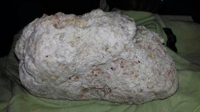 އިނގުރައިދޫން ވަދާ ދިޔަ ބަޔަކު މާވަހަރެއް ހޮވައިފި