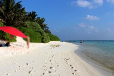 ތޮއްޑުއަށް ޓޫރިސްޓުން ދަނީ ފެހިކަމާއި ތާޒާ މޭވާގެ އުފަލަށް!