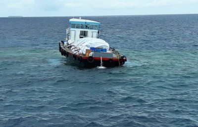 ދެ ދޯންޏެއް މ. އަތޮޅުގެ ފަރަކަށް އަރައިފި