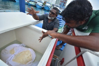 ބޮޑު "މާވަހަރު" ފެނުނު ދޯނީގެ ކައްޕި ބޭނުން ވަނީ އެހީވާން!؟