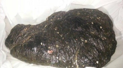 ފޮއްދޫ ގޮނޑުދޮށުން 10 ކިލޯގެ މާވަހަރެއް ކަމަށް ބެލެވޭ އެއްޗެއް ހޮވައިފި