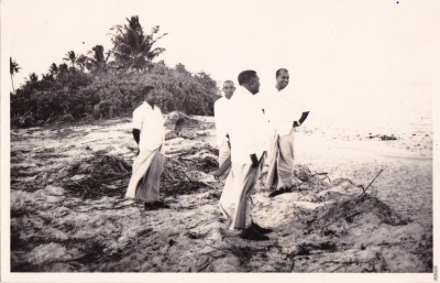 އަދިވެސް މޮޅީ ކާބަފައިންނެއް ނޫންހެއްޔެވެ؟