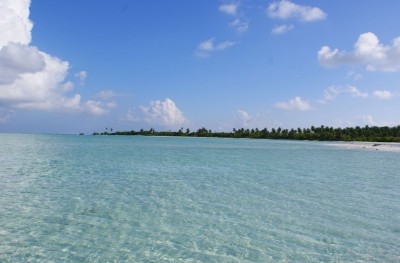 21 ފަޅު ރަށެއް ވަރުވާއަށް ދޫކުރަން ހުޅުވާލައިފި