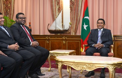 ބިން މިލްކުކުރެވޭ ނިންމުމާއި އިބޫގެ ވޯޓު