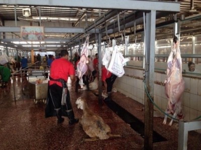 ސައުދީގައި އަގީގާ ކަތިލުމުގެ އަގު ހެޔޮކޮށްފި