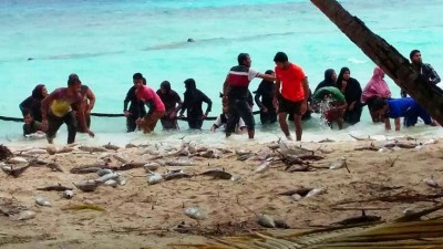 ބުރުނީ ފަޅުން ހިފާ ރާގޮނޑިން ލައްކައިގެ އާމްދަނީއެއް!