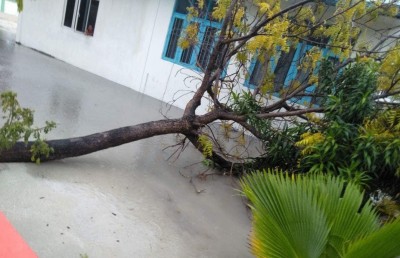 ނަގޫރޯޅިއެއް އަރައި ބަނޑިދޫއަށް ބޮޑެތި ގެއްލުންތަކެއް ލިބިއްޖެ