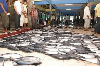 ކަޅުބިލަ މަހަށް ރަނގަޅު އަގު ހޯދުމަށް އެހީވެދޭ ރިސޮލިއުޝަން ފާސްވެއްޖެ