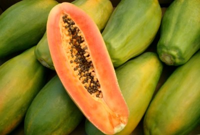 ފަޅޮލުން ލިބޭ ފައިދާތައް ގިނަ