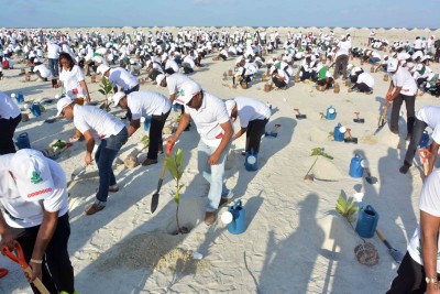 ތިމާވެށި ހިމާޔަތްކުރަން ވައުދުވެ، ހުޅުމާލޭގައި ގަސް އިންދައިފި