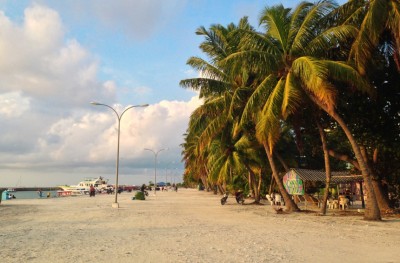މާފުށިން މިއަދު ގޯތި ދޫކުރާނެ: ރައީސް
