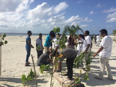 އެއްލައްކަ ގަސް އިންދުމުގެ ޕްރޮގްރާމެއް ފަށައި ވިލުރީފުން ދ. މީދޫގައި ގަސް އިންދައިފި