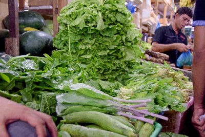 ރޯދައާ ގުޅިގެން ބޭރުން ގެންނަ މޭވާއާއި ތަރުކާރީ ކްލިއާ ކޮށްދިނުން އަވަސްކޮށްދީފި