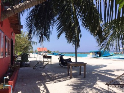 މަޑުއްވަރީގައި ފިހާރައެއް ފަޅާލައިގެން ތިން މީހުން ހައްޔަރުކޮށްފި