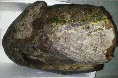 އީދު ޗުއްޓީގައި ހޮވި މާވަހަރުގެ އަގު 19 މިލިއަން ރުފިޔާ އަށް އަރައިފި