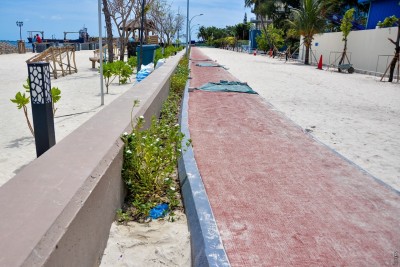ރަސްފަންނުގެ ދުވާ ޓްރެކް ސަރަހައްދުގައި ގަސް އިންދަން ފަށައިފި