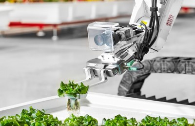 ދަނޑުވެރިކަމުގައި ރޮބޮޓެއް