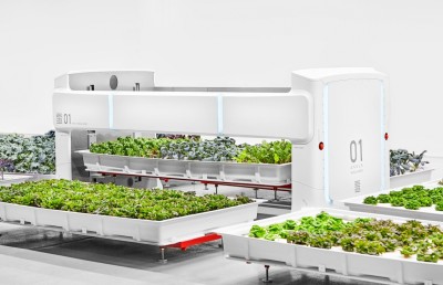 ދަނޑުވެރިކަމުގައި ރޮބޮޓެއް