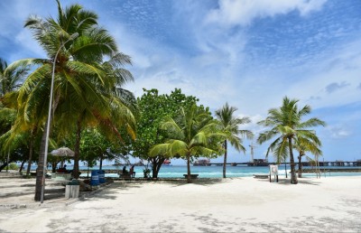 އާޓިފިޝަލް ބީޗް ތަރައްގީކުރަން އެ ސަރަހައްދު ބަންދުކުރަނީ
