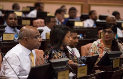 ގިނަ މެންބަރުން ވާހަކަ ދެއްކެވީ ނަޝީދުގެ ދިފާއުގައި
