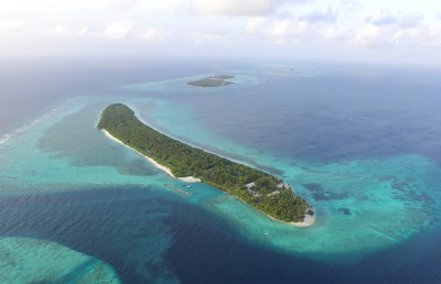 ގަސް ގިނަ މަޑިވަރު ހަނަފަސް ކޮށްލައިފި!