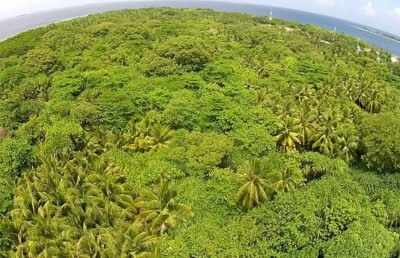 ފައިނުގައި އެއާޕޯޓު ހަދަން 5،000 އަށްވުރެ ގިނަ ގަސް ކަނޑަން ޖެހޭ، ތިމާވެއްޓަށް ގެއްލުންތަކެއް ލިބޭނެ: އީއައިއޭ