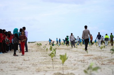ހަތަރު ސްކޫލަކުން ހުޅުމާލެގައި 200 ގަސް އިންދައިފި