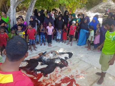 ތަކަންދޫ ތާރީހަށް ބަދަލު ގެނައި އީދެއް