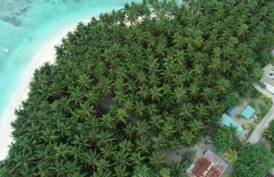 ރުއް ނެގުމުގެ "ތޫފާނަށް" ނިމުމެއް ނެތް، މިފަހަރު ބަނޑިދޫ!