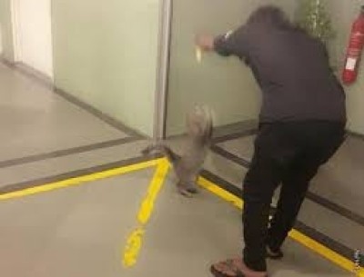 އައިޖީއެމްއެޗުގައި ބުޅަލުގެ އުނދަގޫ ބޮޑުވެފައި